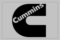 cummin